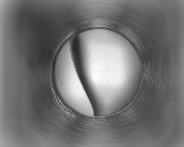X0000070390386200606090906