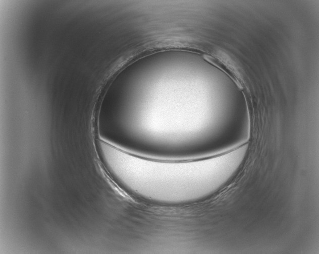 X0000070390389200606090906