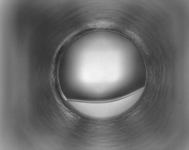 X0000070390392200606090906