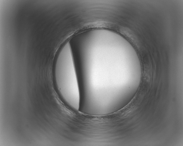 X0000070390394200606090906
