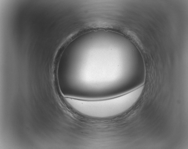 X0000070390395200606090906