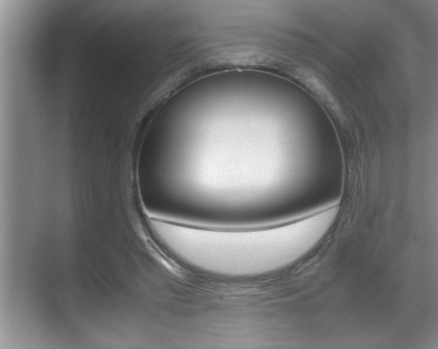 X0000070390397200606090906