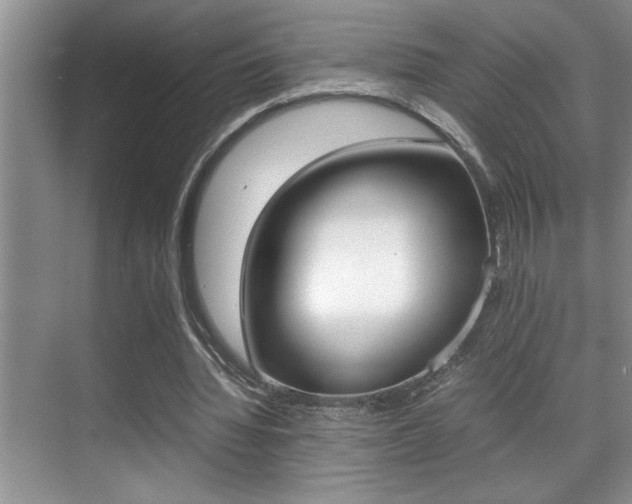 X0000070390436200606090905
