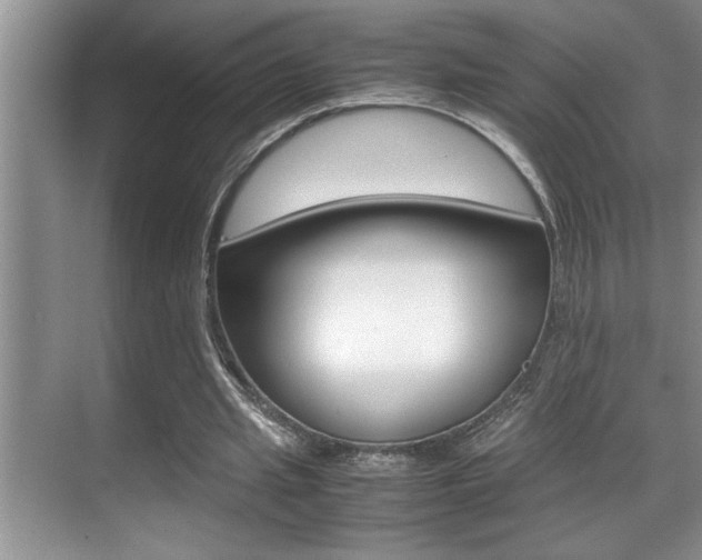 X0000070390437200606090905
