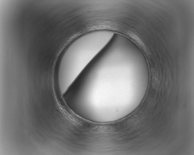 X0000070390482200606090904
