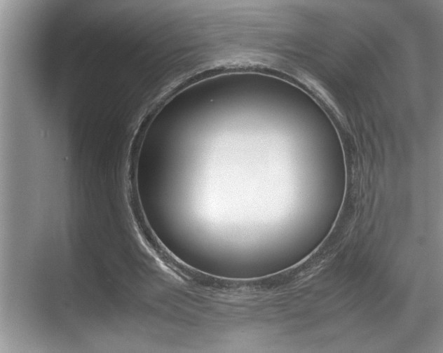 X0000070390485200606090904