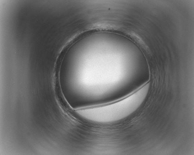 X0000070390488200606090904