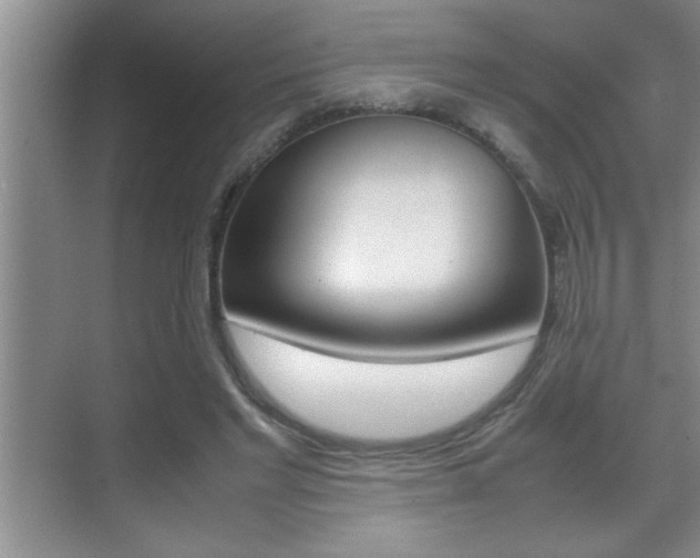 X0000070390493200606090904
