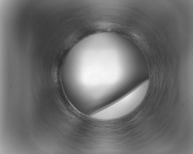 X0000070390504200606090904