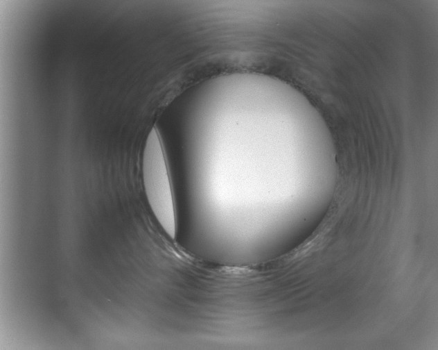 X0000070390528200606090904