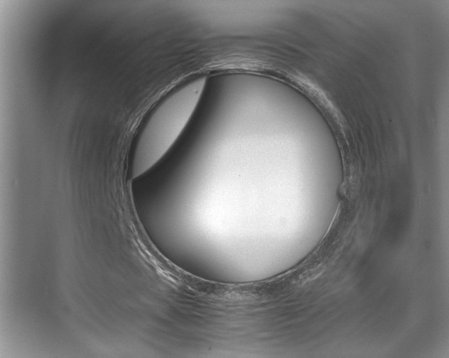 X0000070390529200606090903