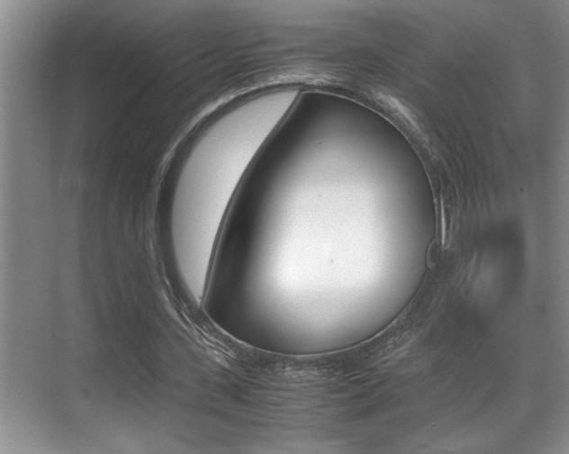 X0000070390531200606090903