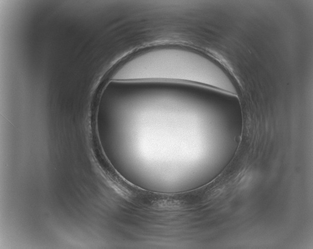 X0000070390535200606090903