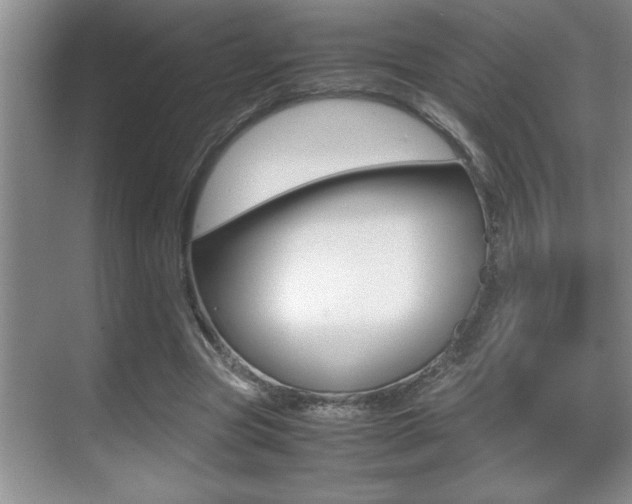 X0000070390537200606090903