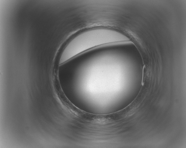 X0000070390540200606090903