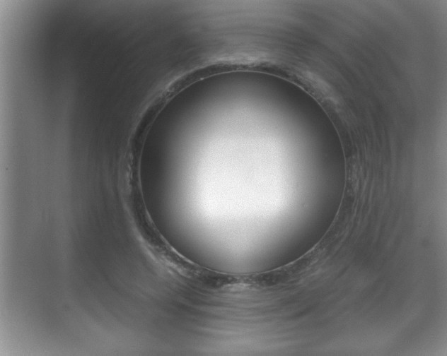 X0000070390544200606090903