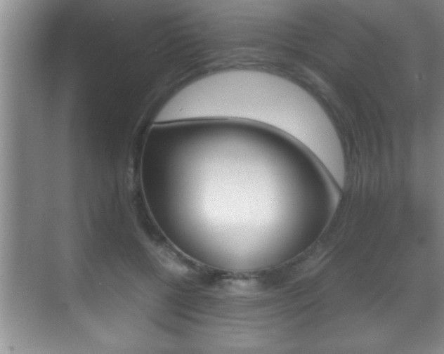 X0000070390552200606090903