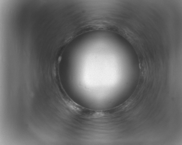 X0000070390562200606090903