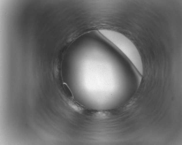 X0000070390566200606090904