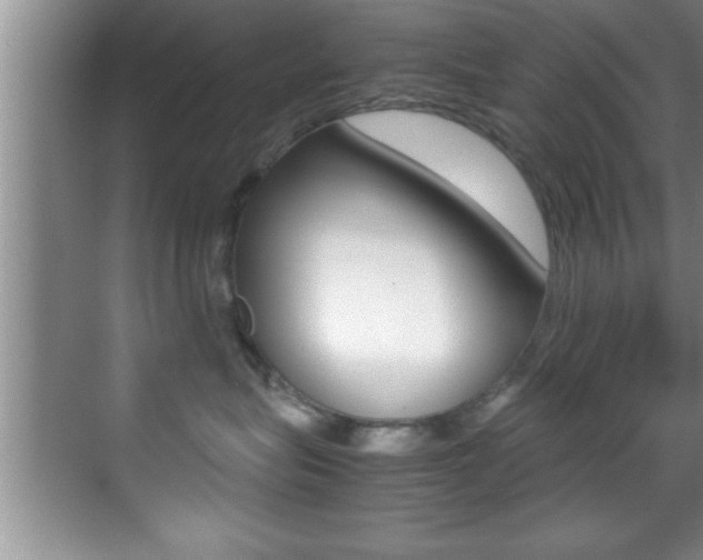 X0000070390575200606090904