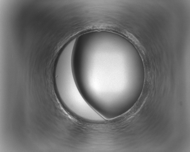 X0000070390577200606090903