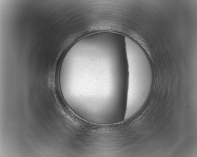 X0000070390578200606090903