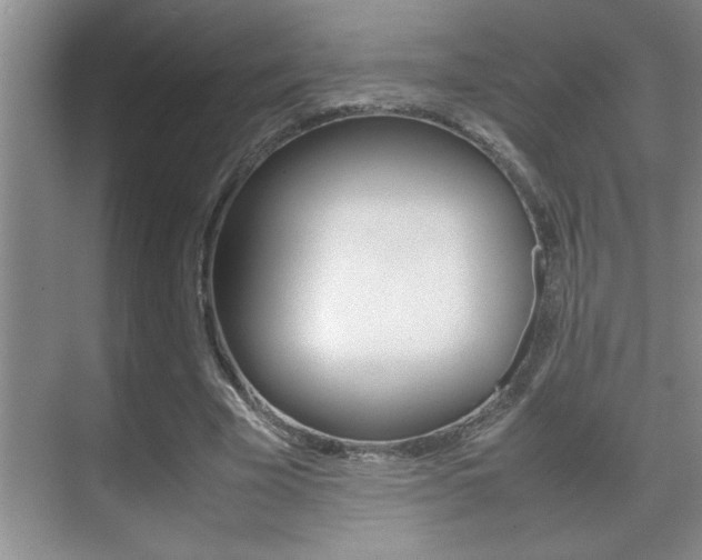 X0000070390585200606090903
