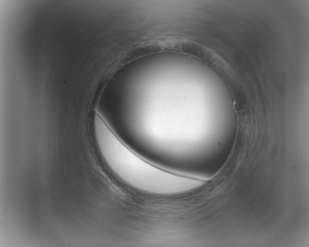 X0000070390593200606090903