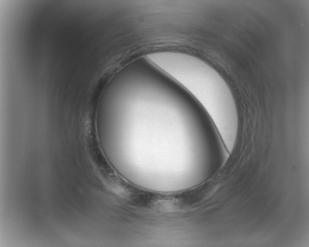 X0000070390595200606090903
