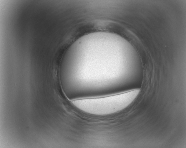 X0000070390603200606090902