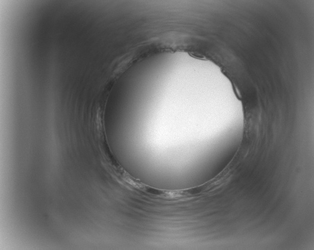 X0000070390623200606090902