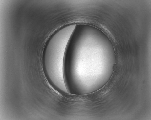 X0000070390625200606090901