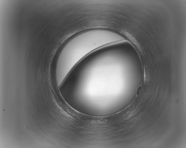 X0000070390627200606090901