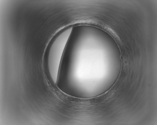 X0000070390628200606090901
