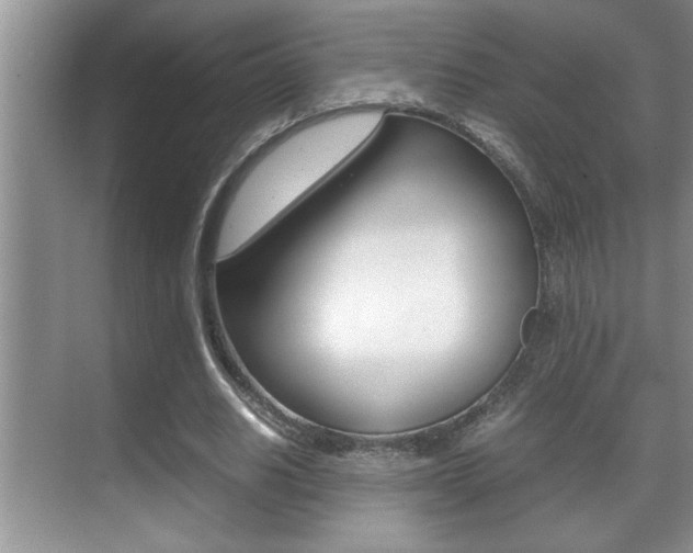 X0000070390630200606090901