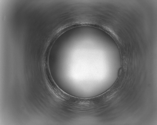 X0000070390631200606090901
