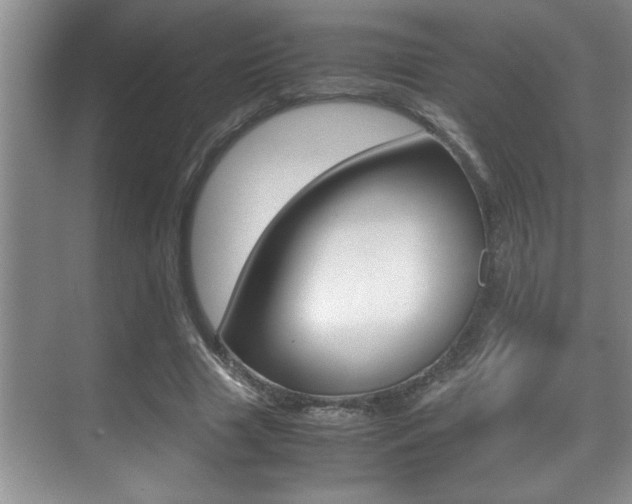X0000070390633200606090901