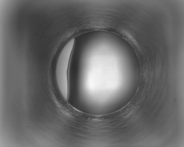 X0000070390635200606090901