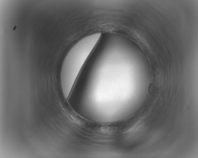 X0000070390641200606090902