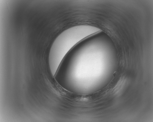 X0000070390647200606090902