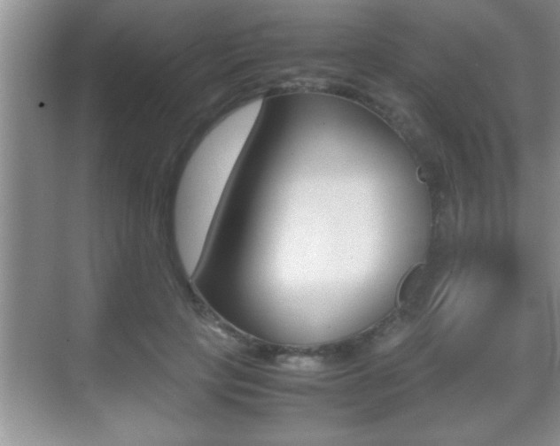 X0000070390649200606090902