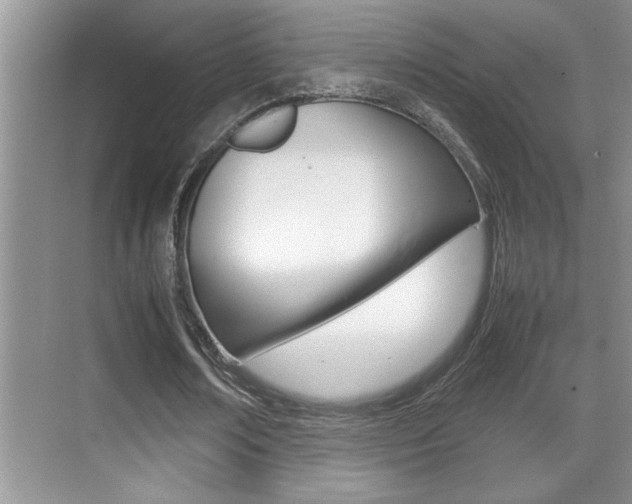 X0000070390674200606090901