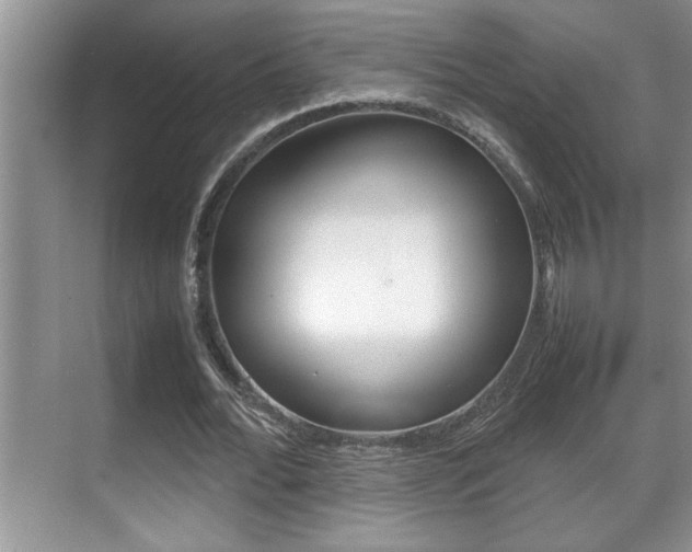 X0000070390676200606090901