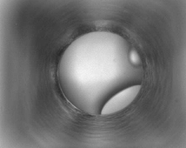 X0000070390698200606090901