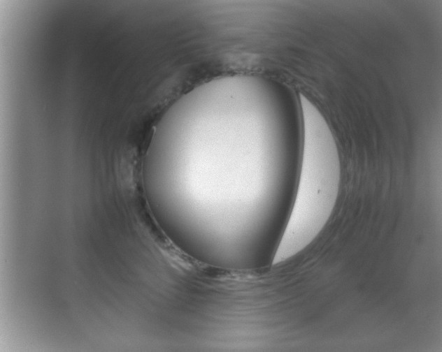 X0000070390712200606090901