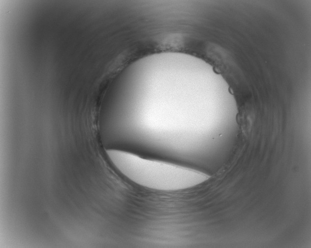 X0000070390714200606090901
