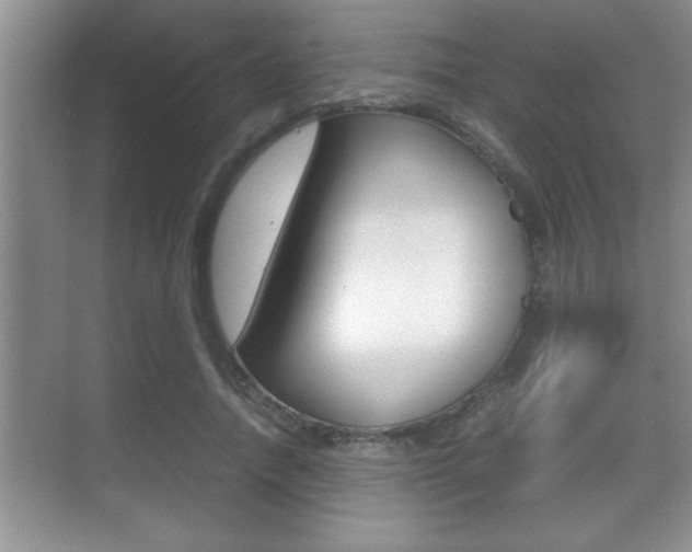 X0000070390738200606090900