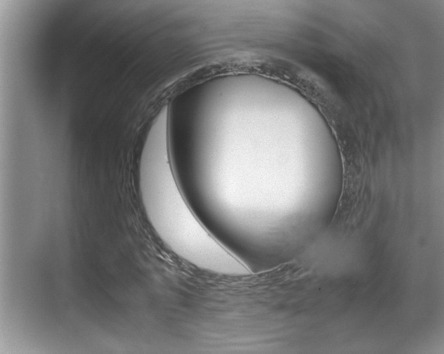 X0000070390773200606090900