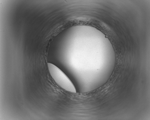 X0000070390774200606090900