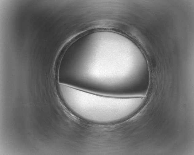X0000070390779200606090859